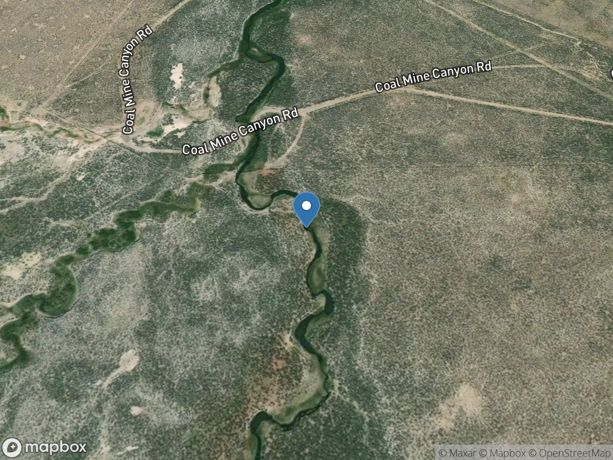 Seepage Pc00.3-Dorsey Creek above Pie Creek at Coal Mine RD location