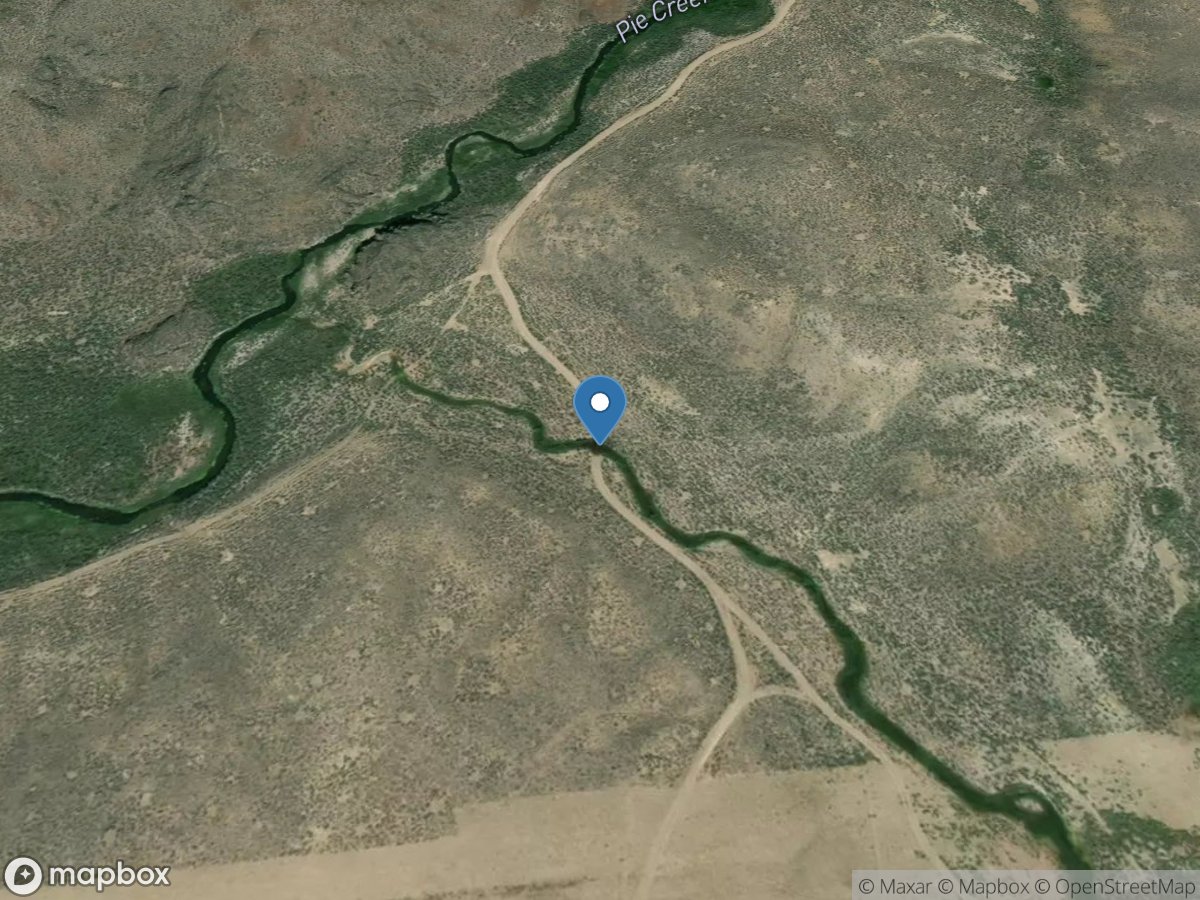 Seepage Pc00.6-Badger Creek above Conf with Pie Ck location