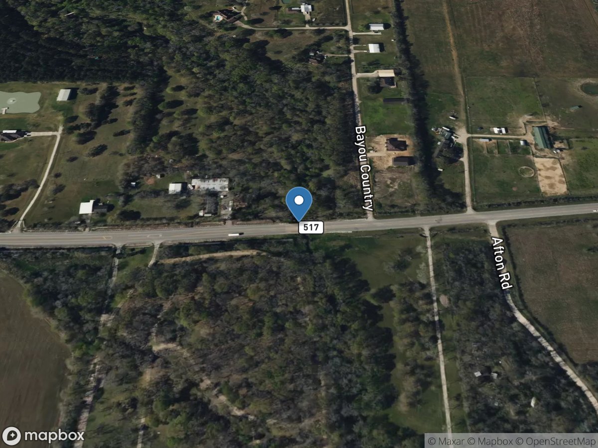 Dickinson Bayou at FM 517 near Alvin, TX location