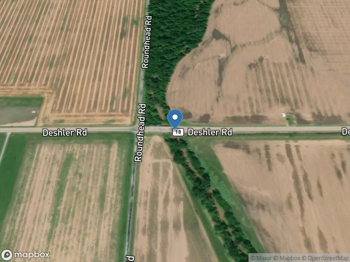 Yellow Creek near Deshler OH location