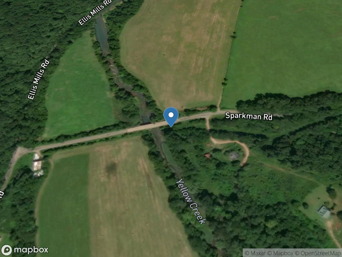 Yellow Creek at Ellis Mills, TN location