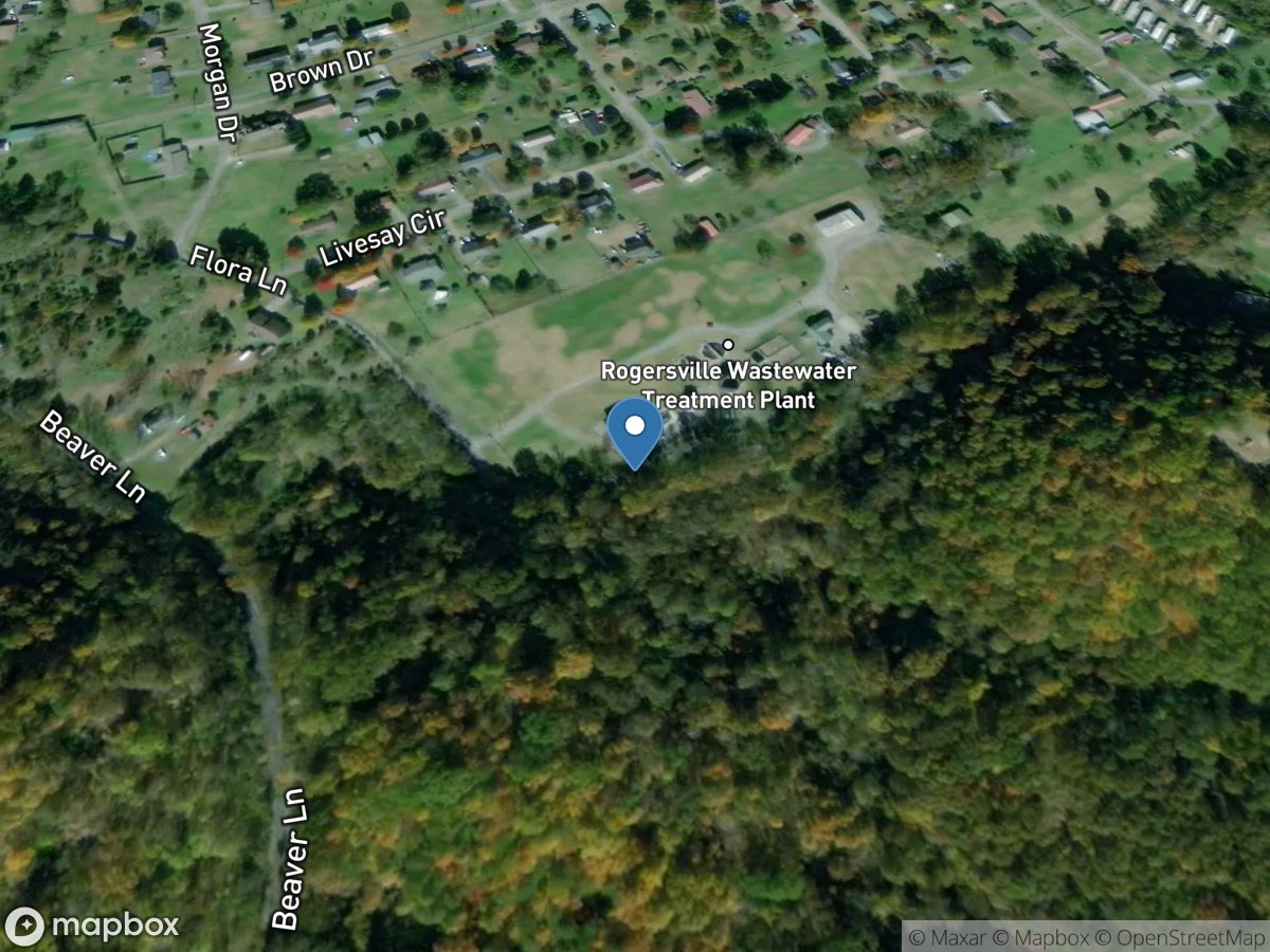 Crockett Creek below Rogersville, TN location