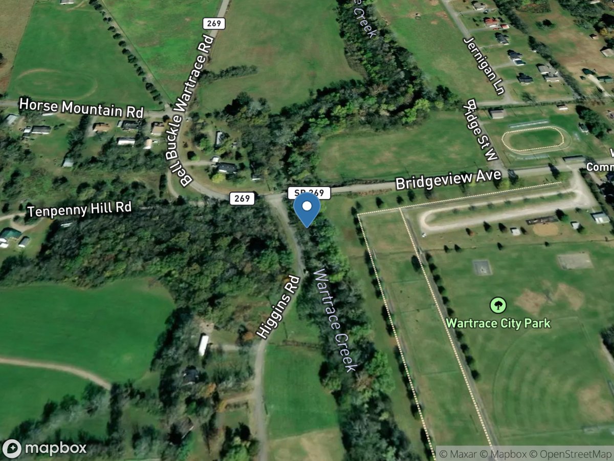 Wartrace Creek below County Road at Wartrace, TN location