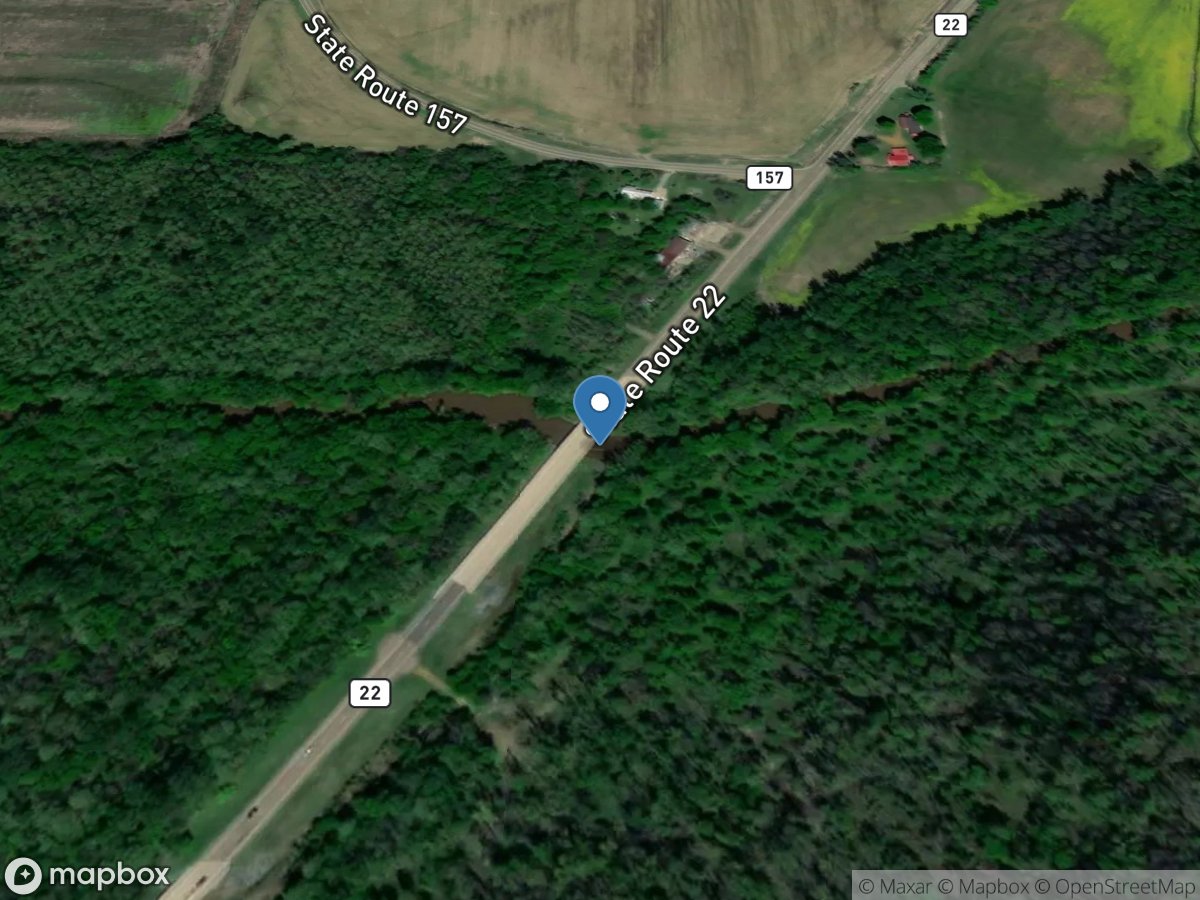 Reelfoot Creek near Samburg, TN location