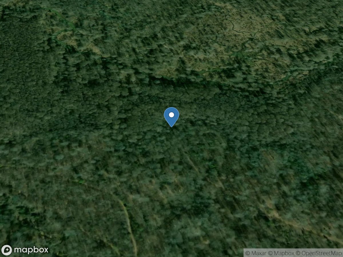 Un-named trib 6, distributary channel, site CT-6-D location