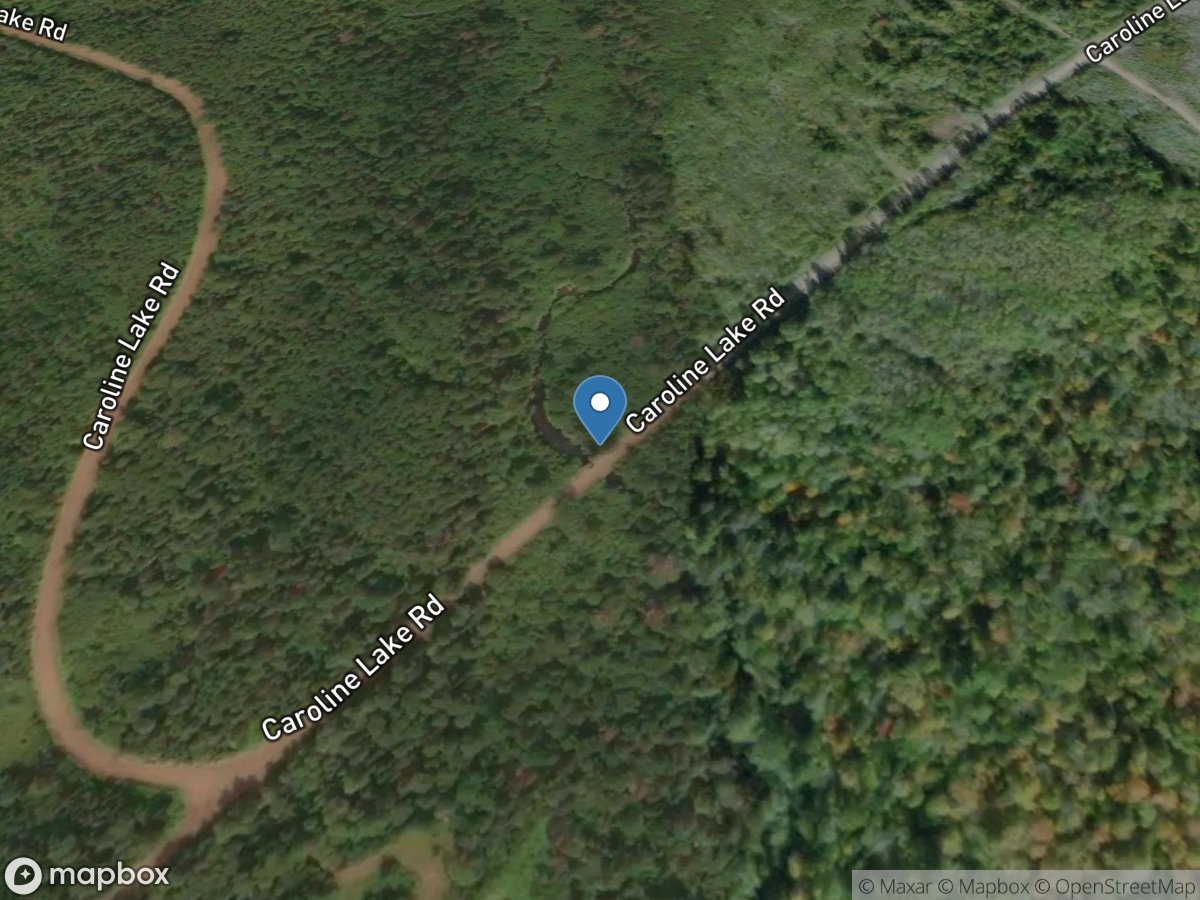 Tyler Forks River at Caroline Lake Road near Mellen, WI location