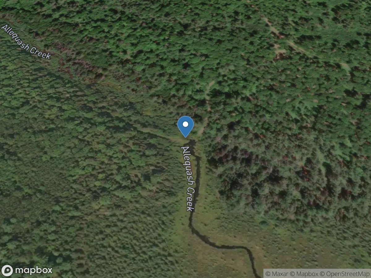 Allequash Creek Site No. 3 near Boulder Junction, WI location