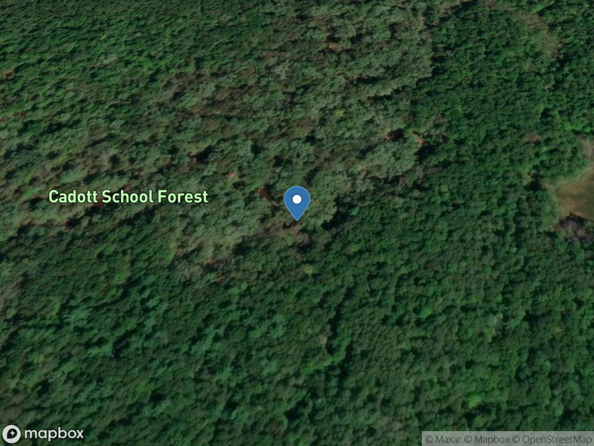 Drywood Creek at Covered Footbridge near Cadott, WI location