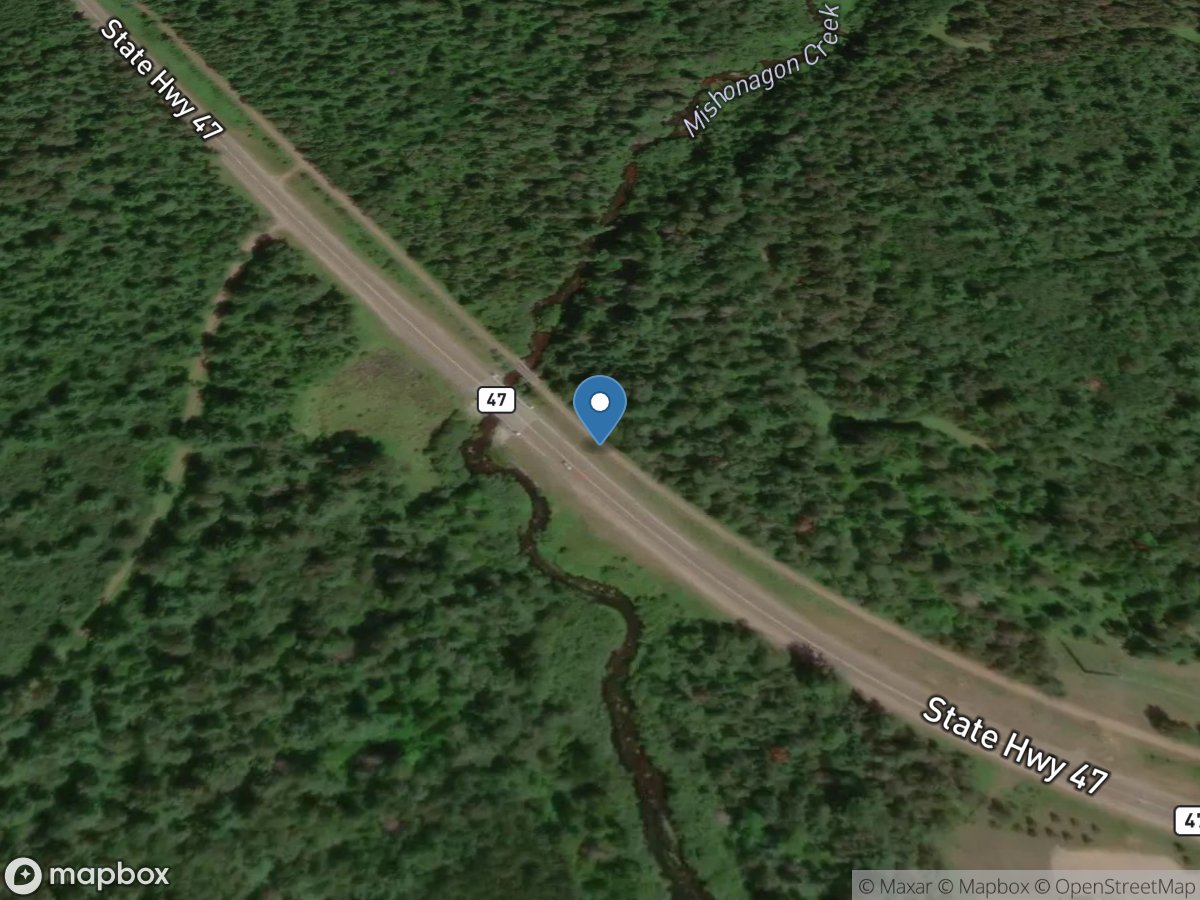 Mishonagon Creek near Woodruff, WI location