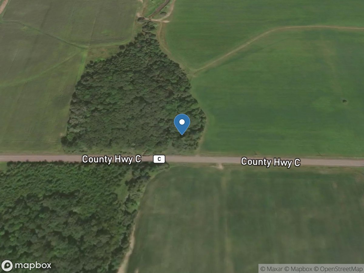 Yellow River Tributary near Pittsville, WI location