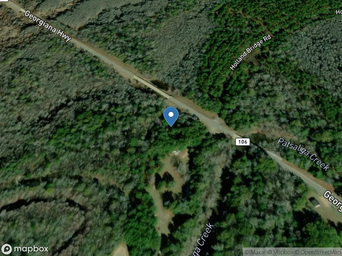 Patsaliga Creek near Brantley AL location