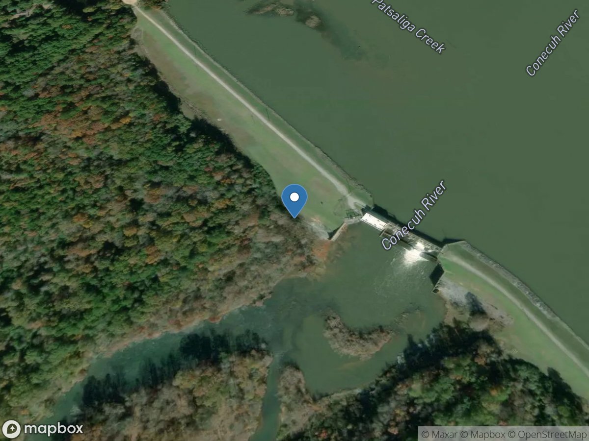 Conecuh River Bel Pt a DAM near River Falls, Al. location