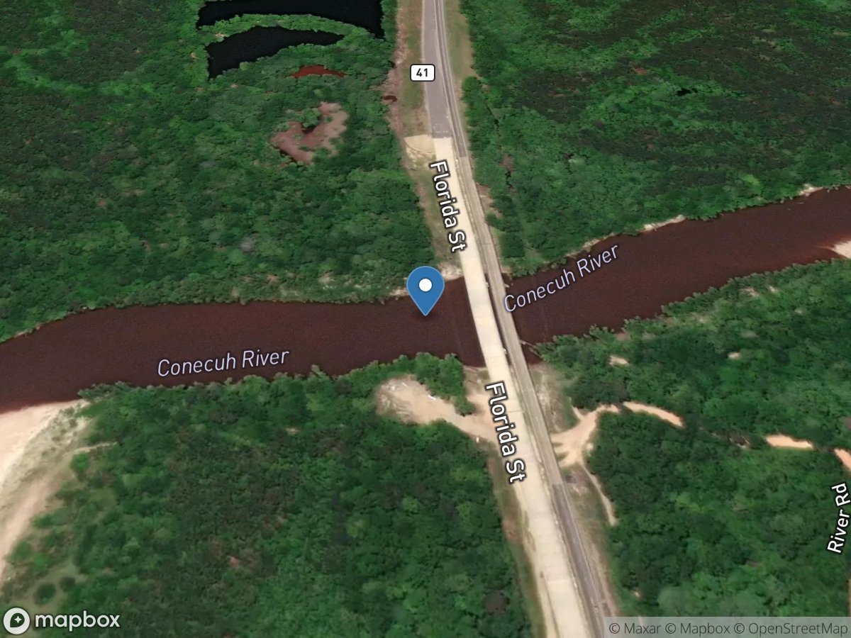 Conecuh River at State Highway 41 near Brewton, Al. location