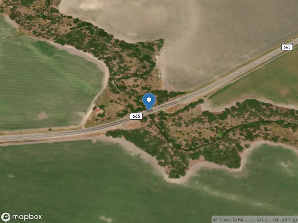 Petronila Creek at FM 665 near Driscoll, TX location