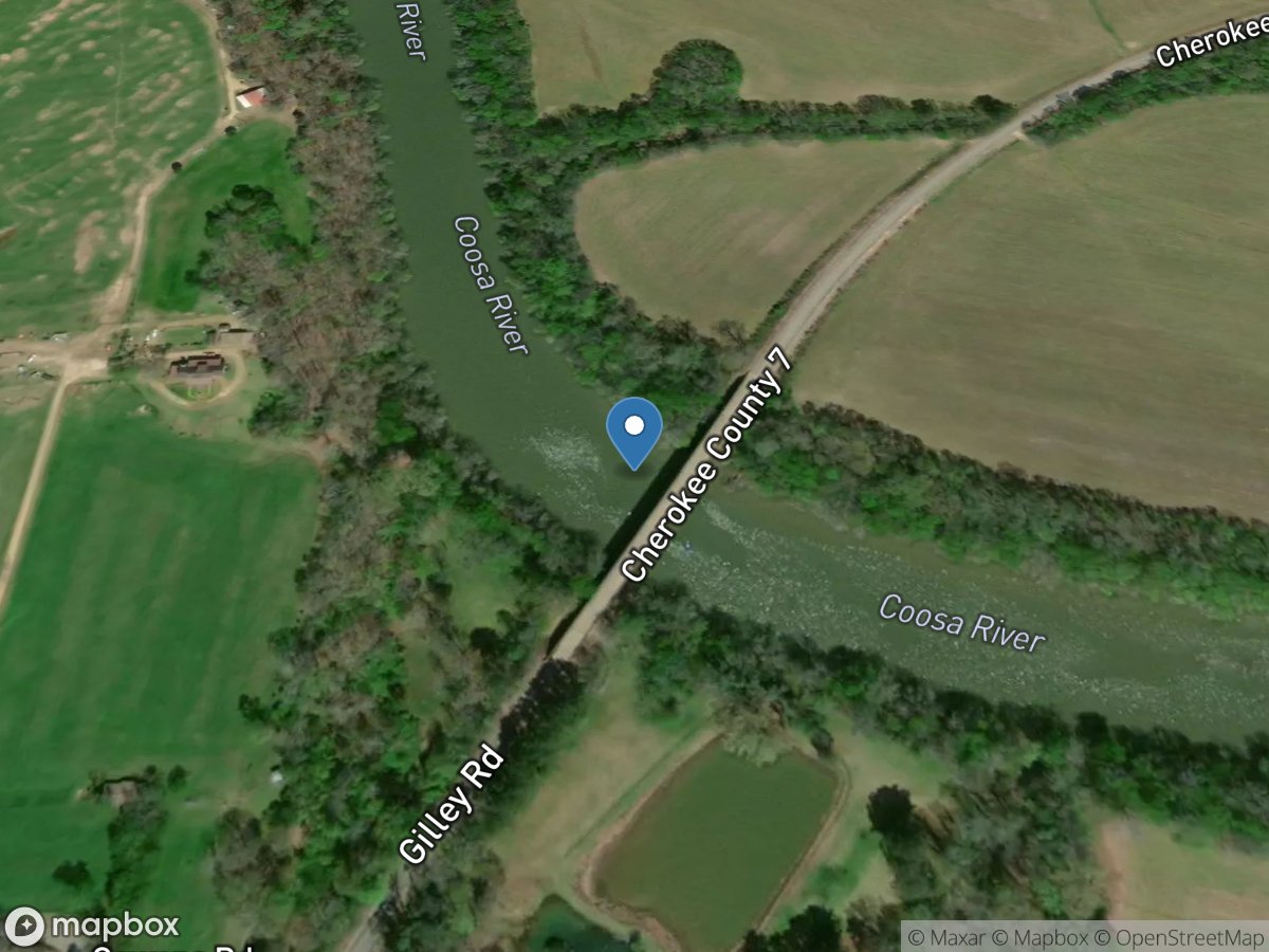 Coosa River at Adams Ferry Branch near Ballplay, AL location