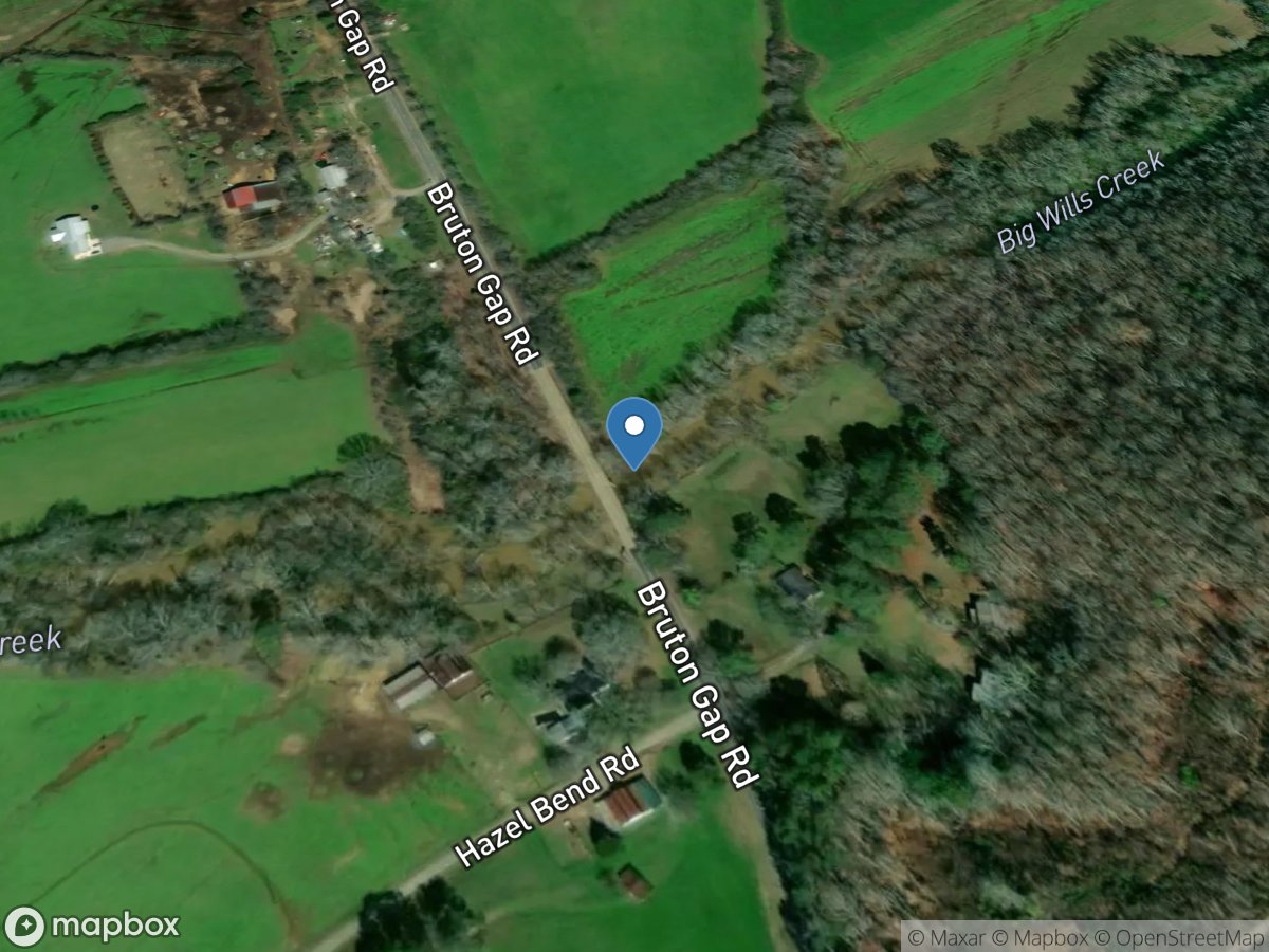 Big Wills Creek near Reece City location