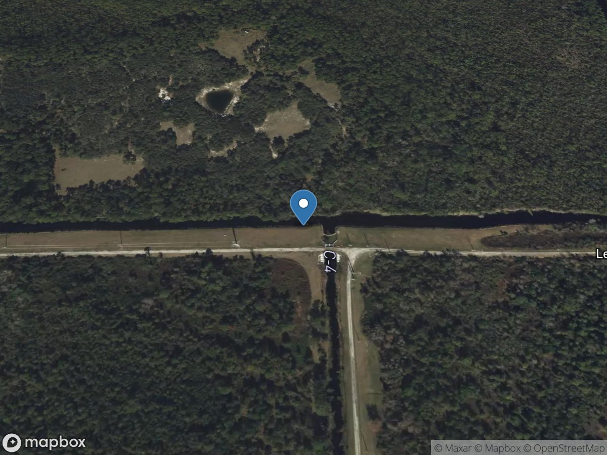 Reedy Creek at S-46 near Vineland, FL location