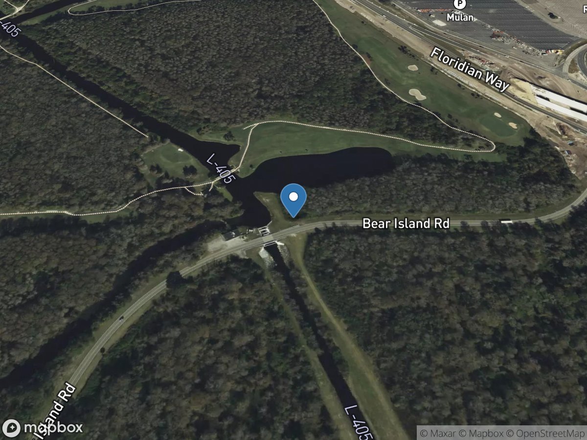 10b Lateral 405 below S-405 near Vineland Fla location