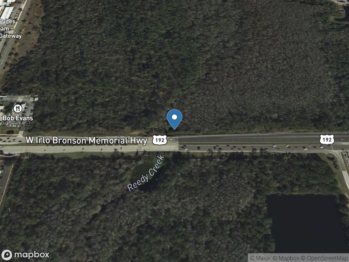 Reedy Creek near Vineland, FL location
