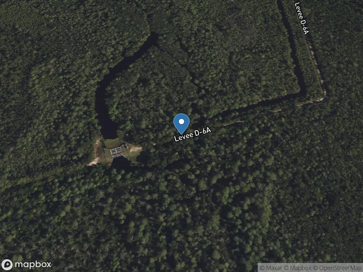 Reedy Creek at S-40, near Loughman, FL location