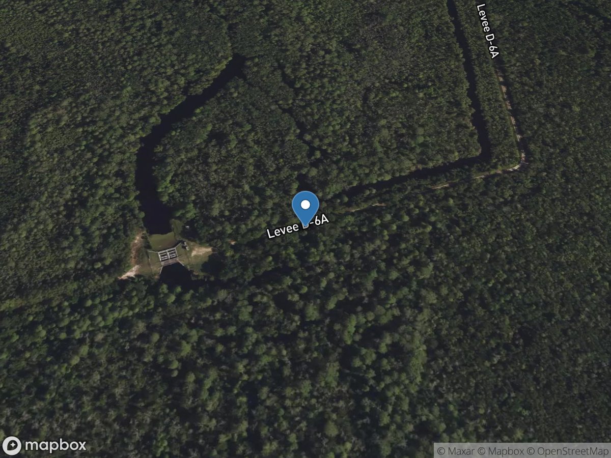 Reedy Creek below S-40, near Loughman, FL location