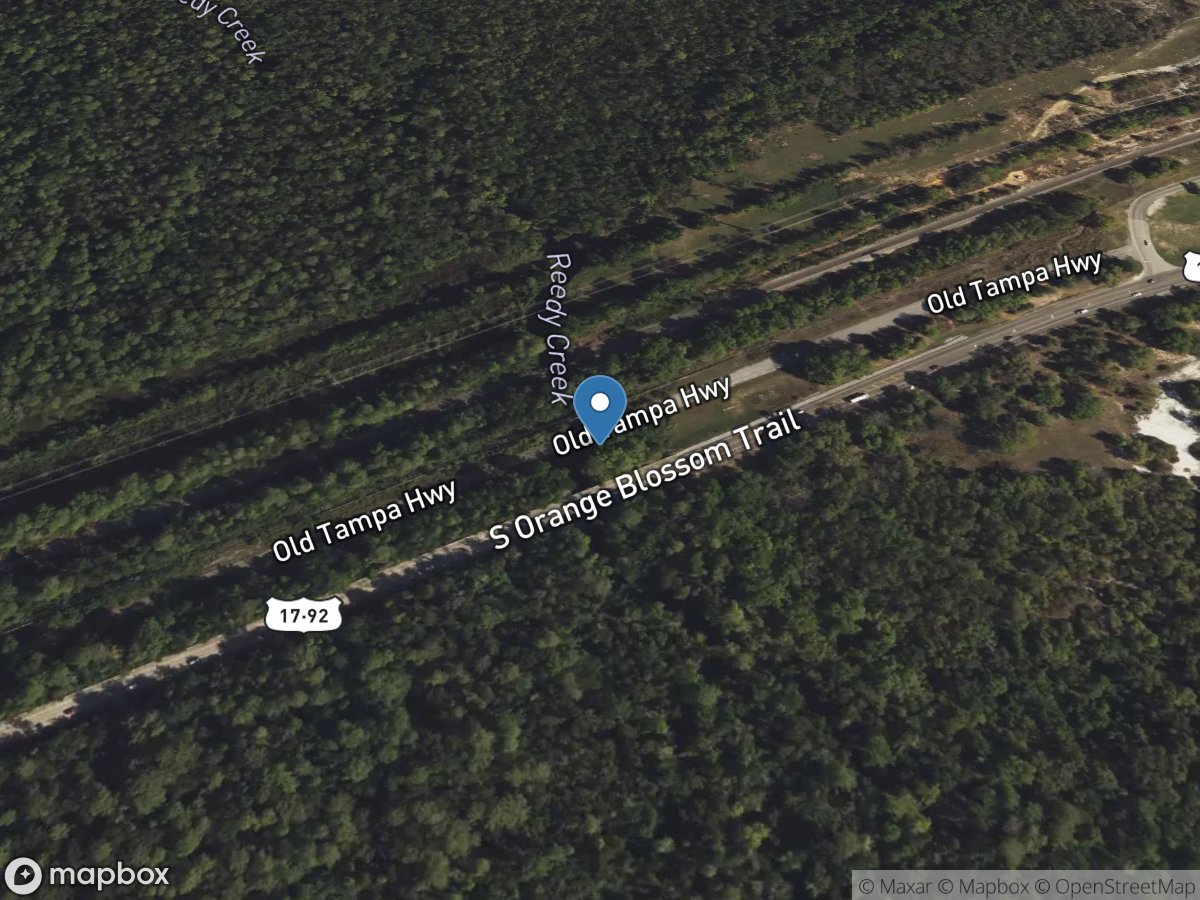 Reedy Creek near Loughman, FL location