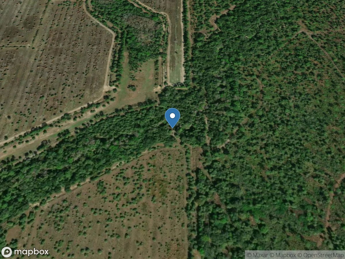 Shell Creek at Circle K Groves near Ft Ogden FL location