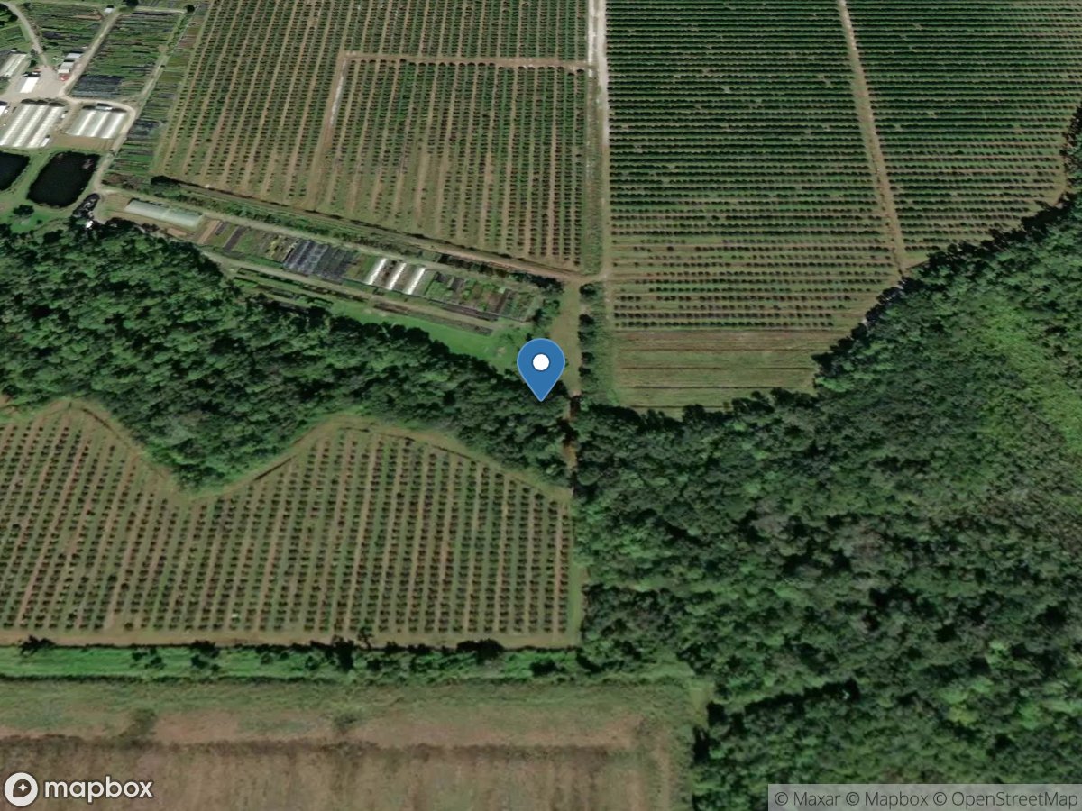 Maple Creek near Myakka City FL location