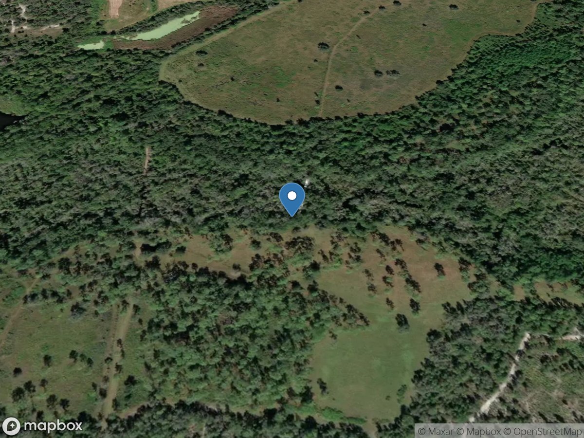 Ogleby Creek Dnstr From Boggy Creek near Myakka City FL location