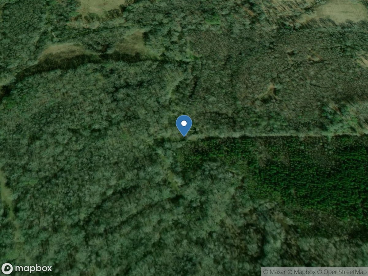 Big Swamp Creek Southwest of Hayneville, AL location