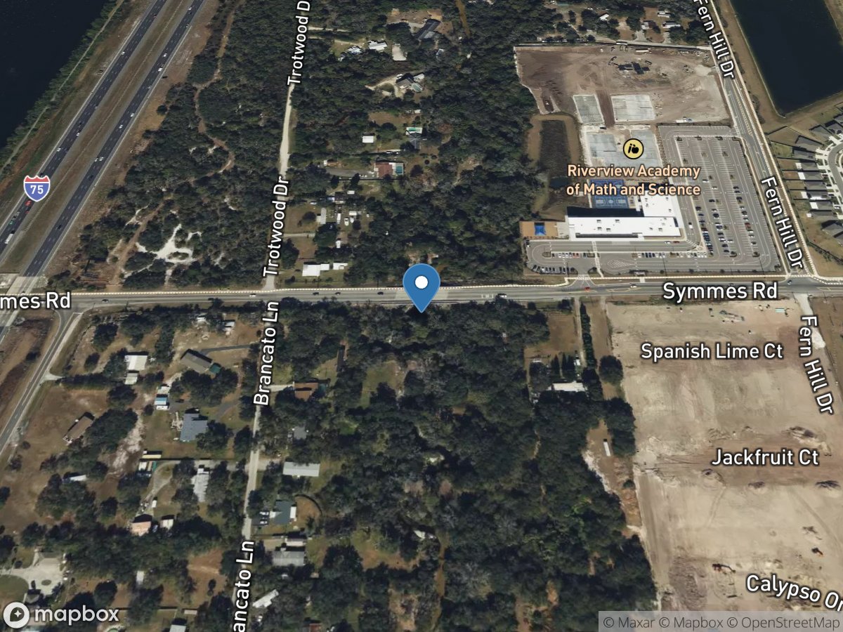 Bullfrog Creek near Riverview FL location