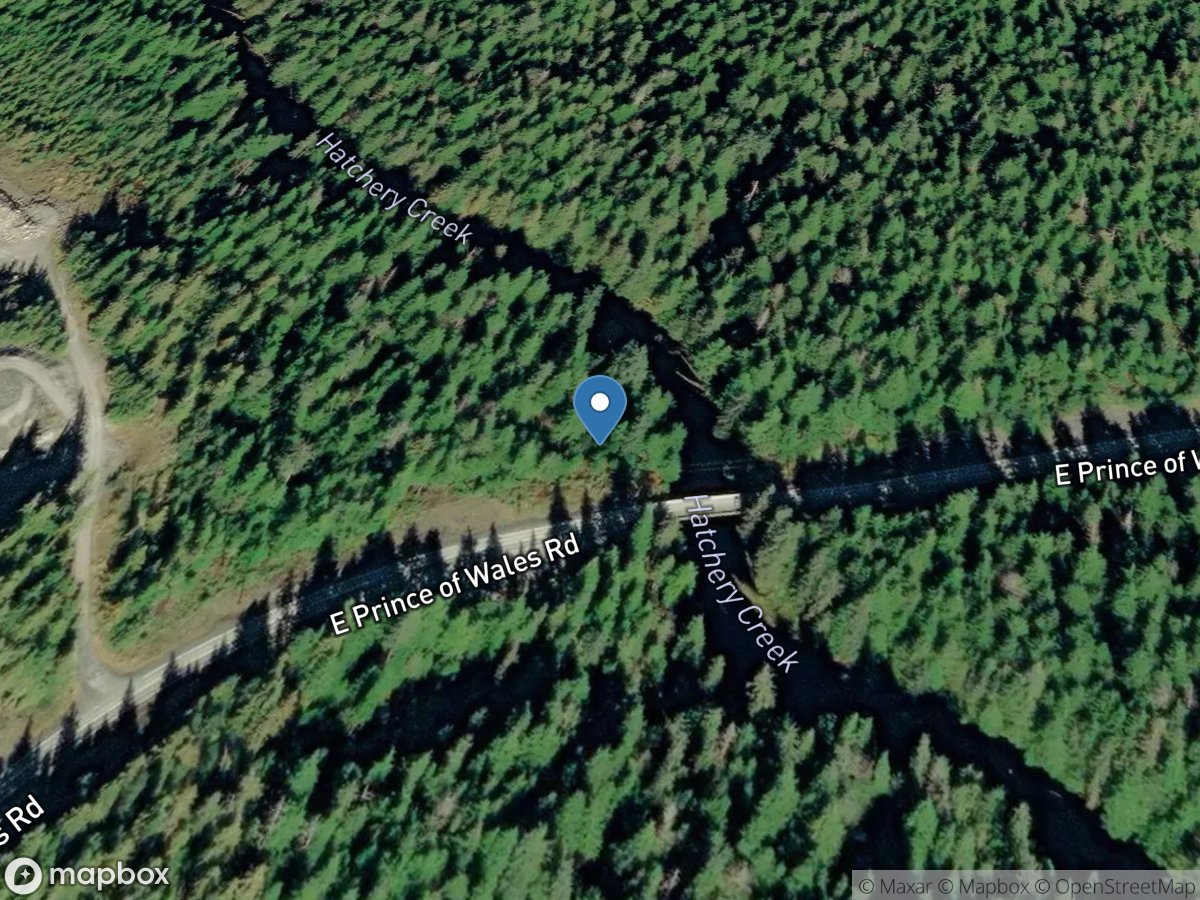 Hatchery Creek at Forest SVC Road 23 near Coffman Cove AK location