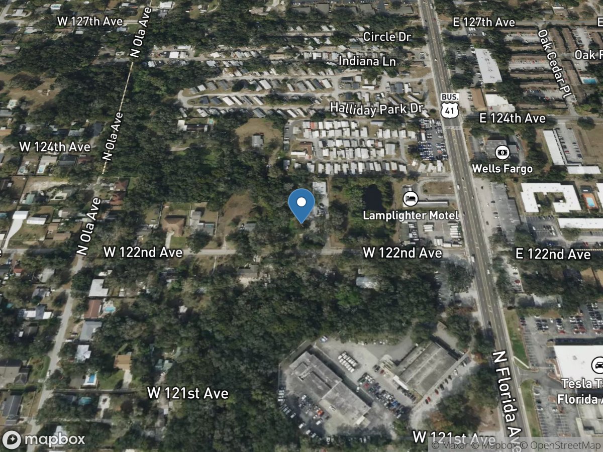 Curiosity Creek at 122nd Avenue near Sulphur Spgs. FL location