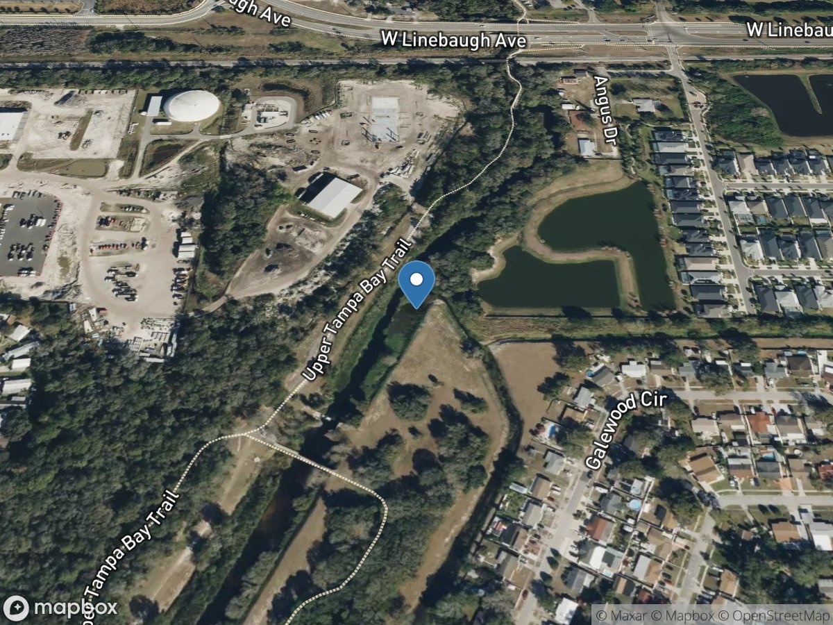 Rocky Creek near Sulphur Springs FL location