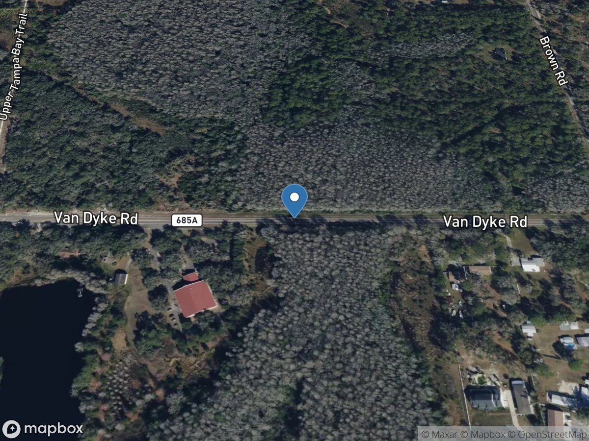 Brooker Creek at Van Dyke Road near Citrus Park FL location