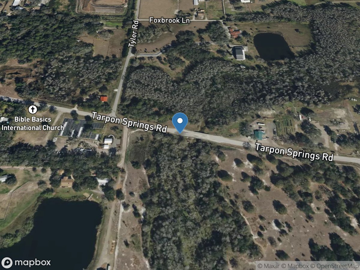 Brooker Creek near Lake Fern FL location