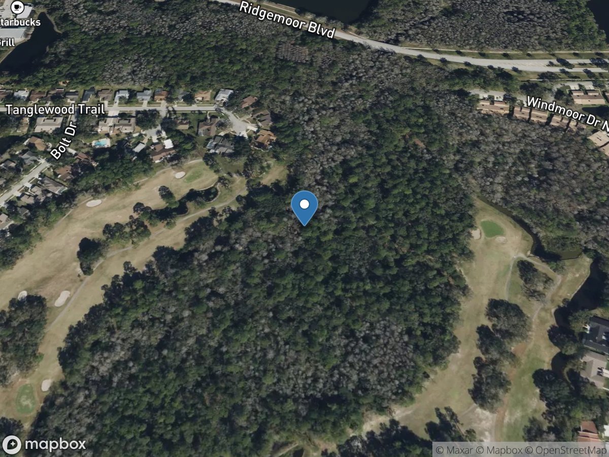 Brooker Creek near Tarpon Springs FL location