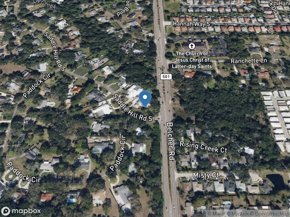 Curlew Creek at Belcher Road near Ozona FL location