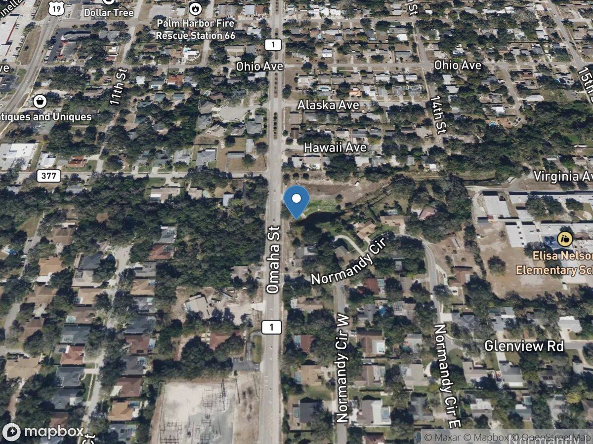 Bee Branch near Palm Harbor FL location