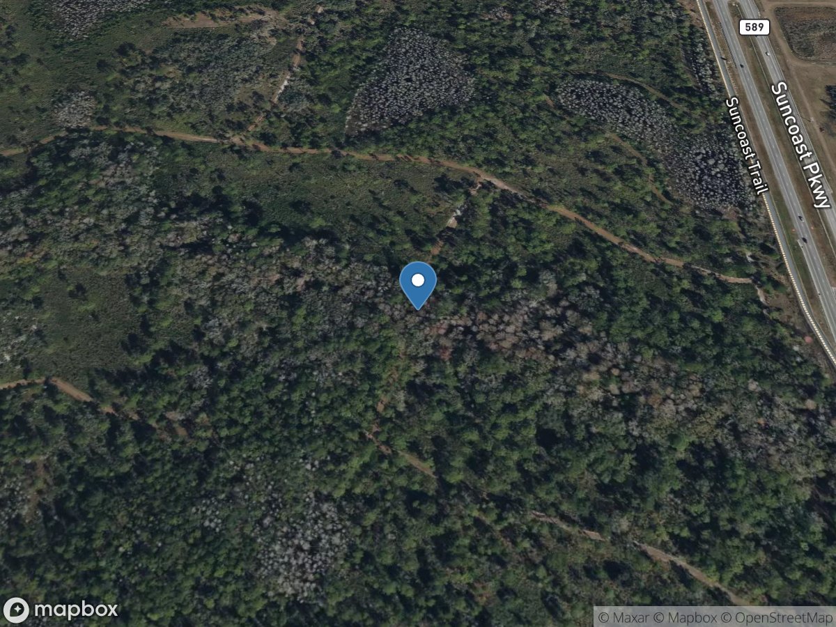 FIVEMILE Creek Below SUNCOAST Parkway Near FIVAY JUNCTION FL location