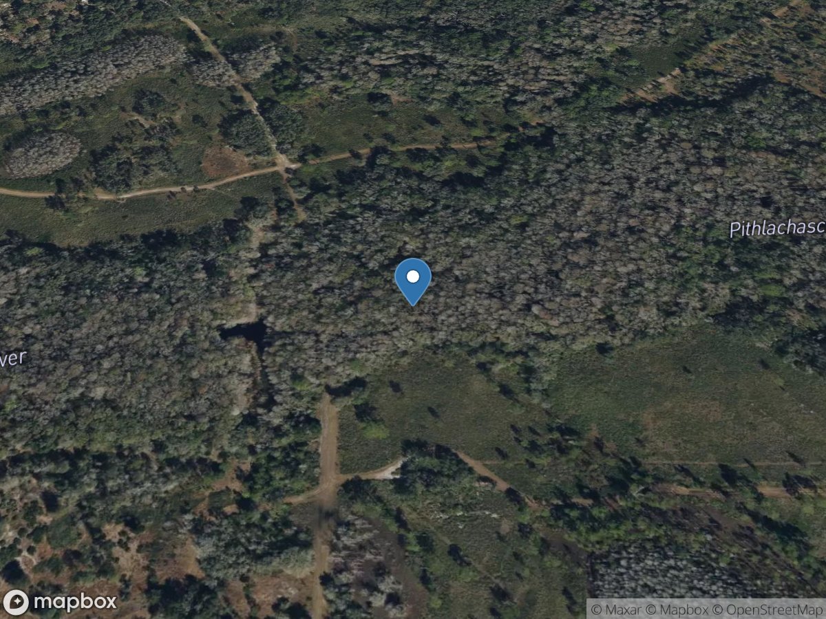 PITHLACHASCOTEE River Below SUNCOAST Parkway Near FIVAY JCT FL location