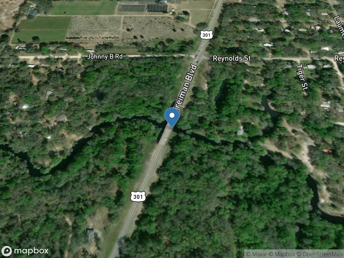 Withlacoochee River at US 301 at Trilby, FL location