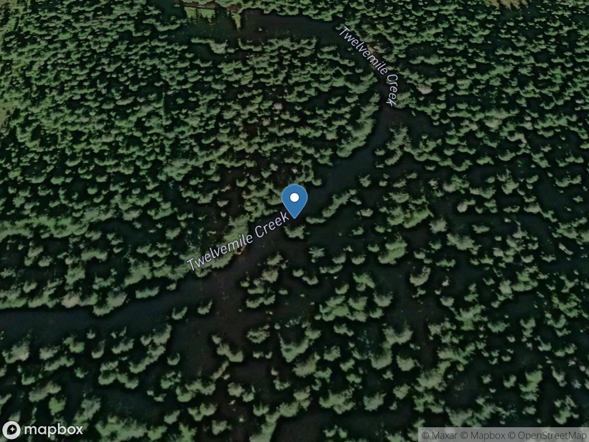 Twelvemile Creek near Petersburg AK location