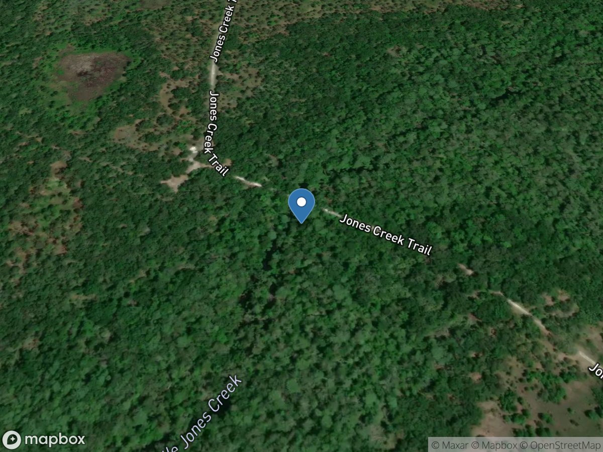 Little Jones Creek near Rutland, Fl. location