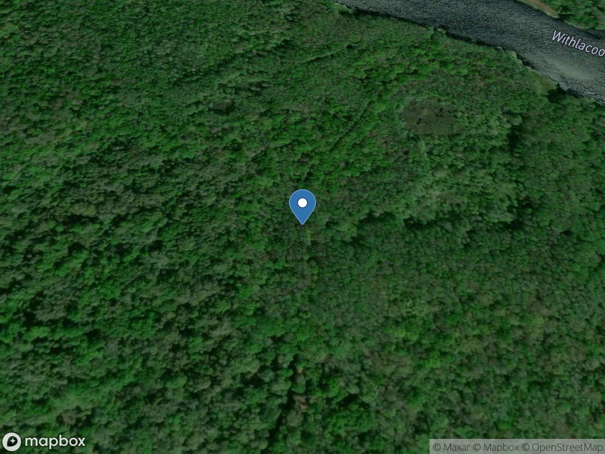 Tsala Apopka Lake at Shinn Ditch near Carlson FL location