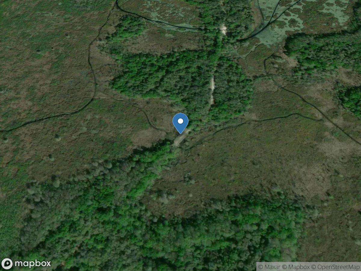 Tsala Apopka at Flying Eagle Cul at Floral City FL location