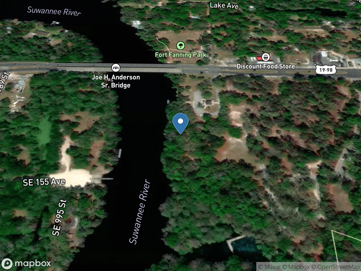 Suwannee River near Wilcox, Fla. location