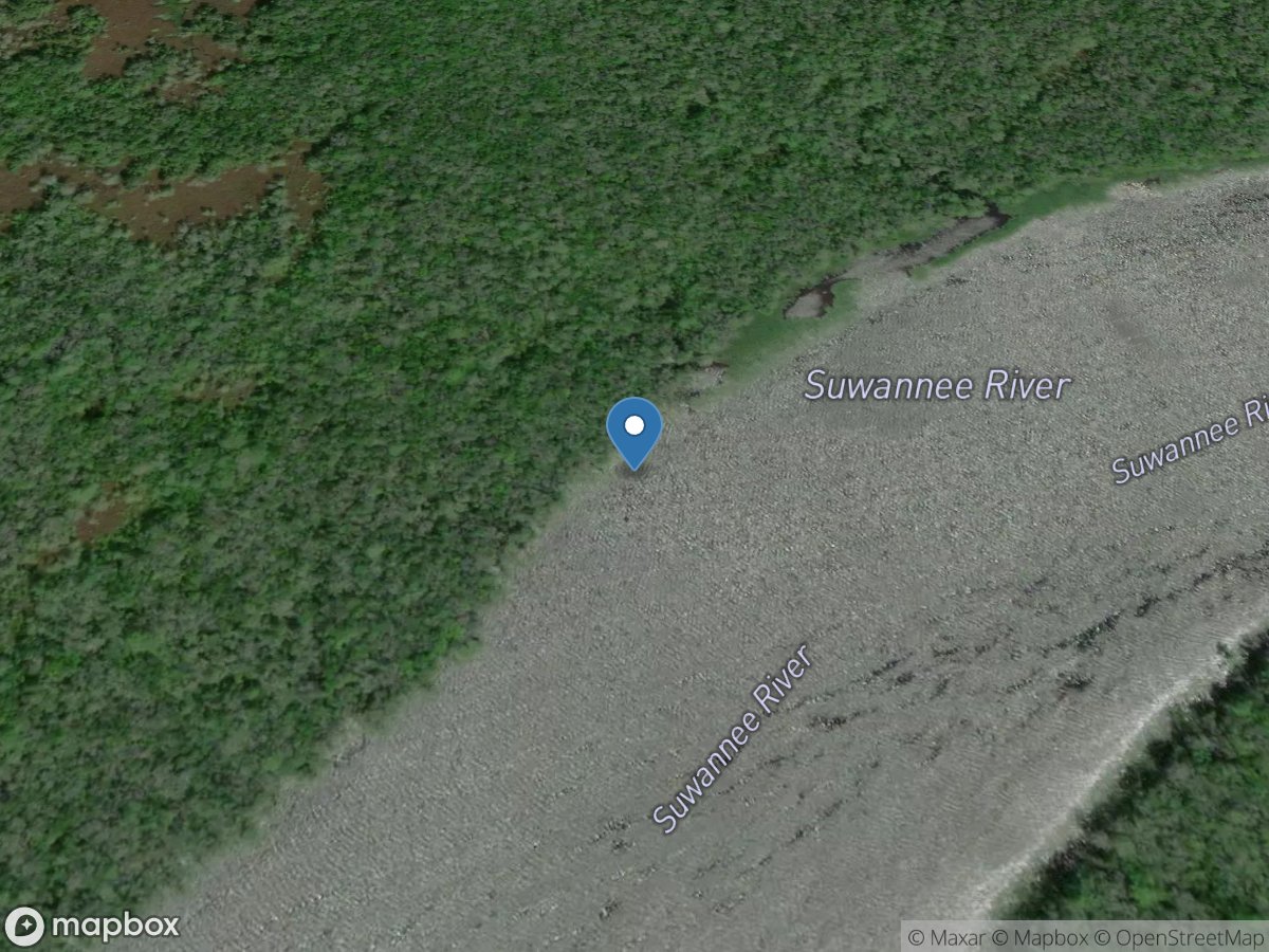 Suwannee River above Gopher River near Suwannee FL location