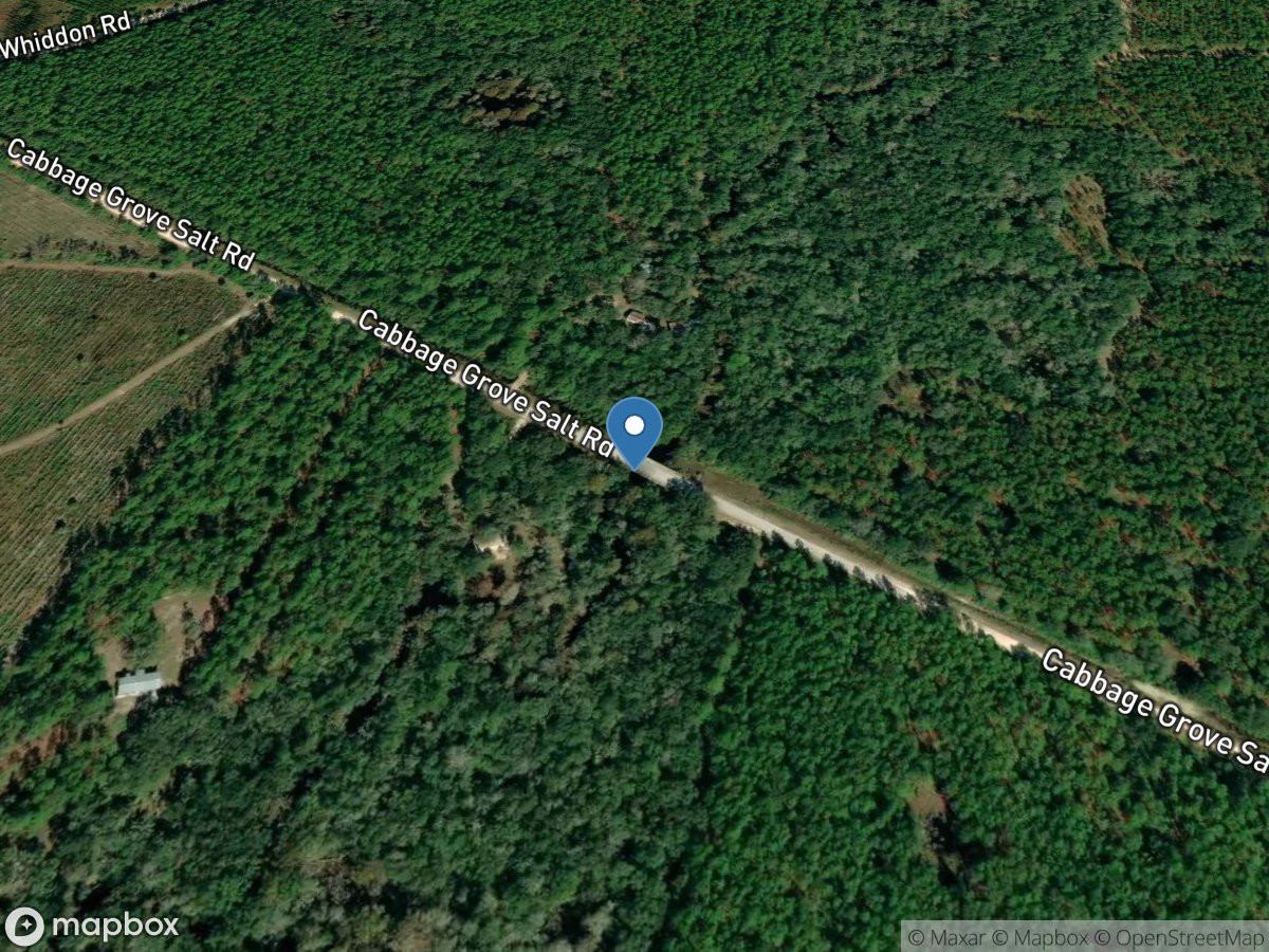 Econfina River near Perry, Fla. location