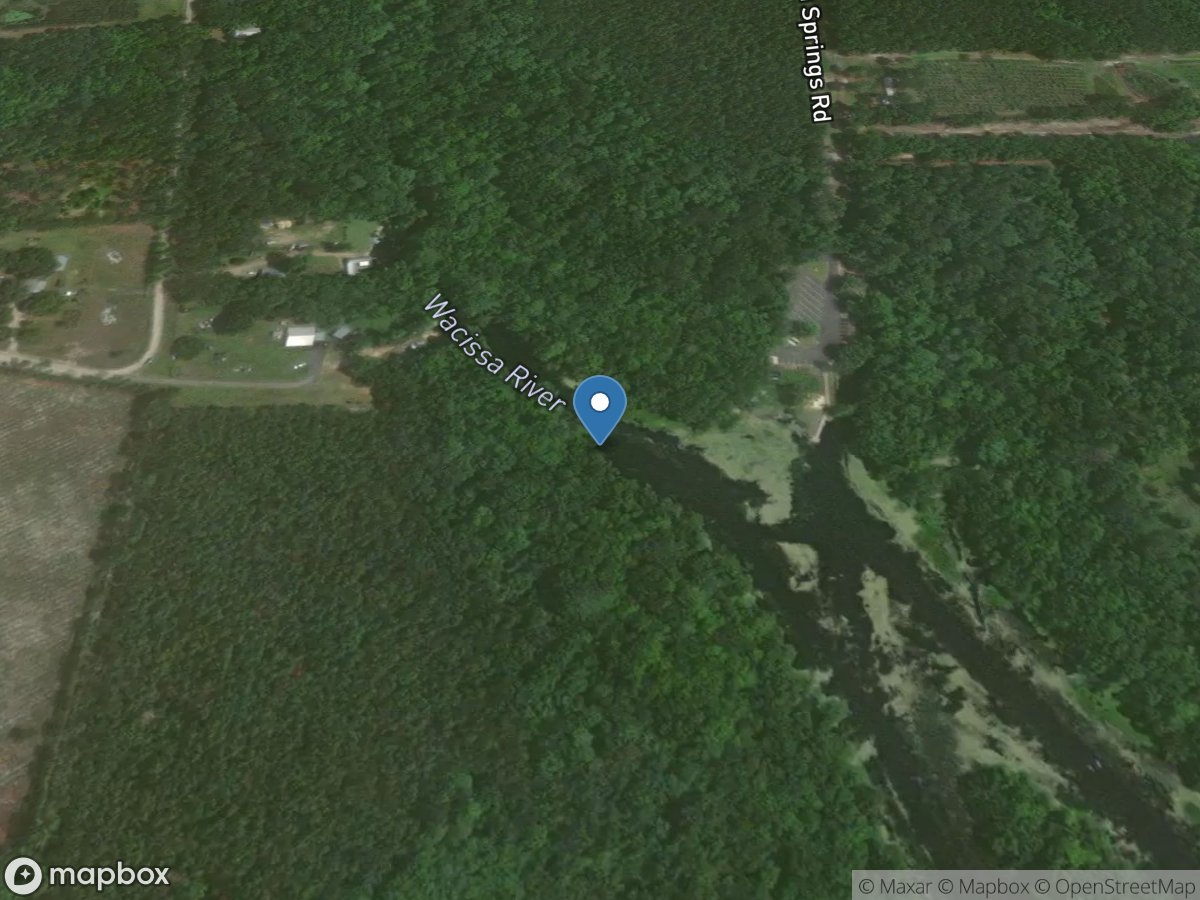 Wacissa River at Thomas Spring near Wacissa, FL location